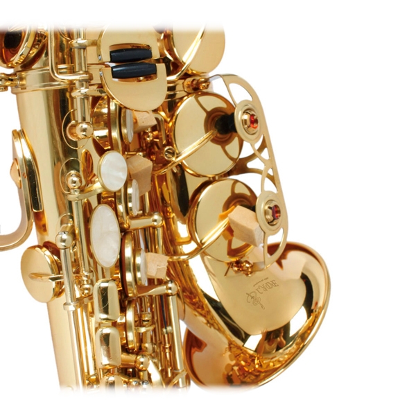 LADE WSS-795 bB Golden Brass Saxophone Hand-Caved Tube For Beginner