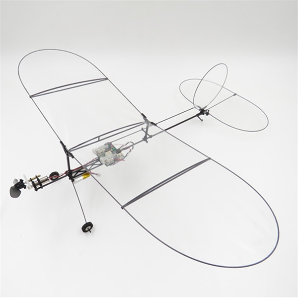 Tygzs  Black Flyer V1 2.4G 6CH Carbon Fiber Film RC Airplane DSM2 BNF
