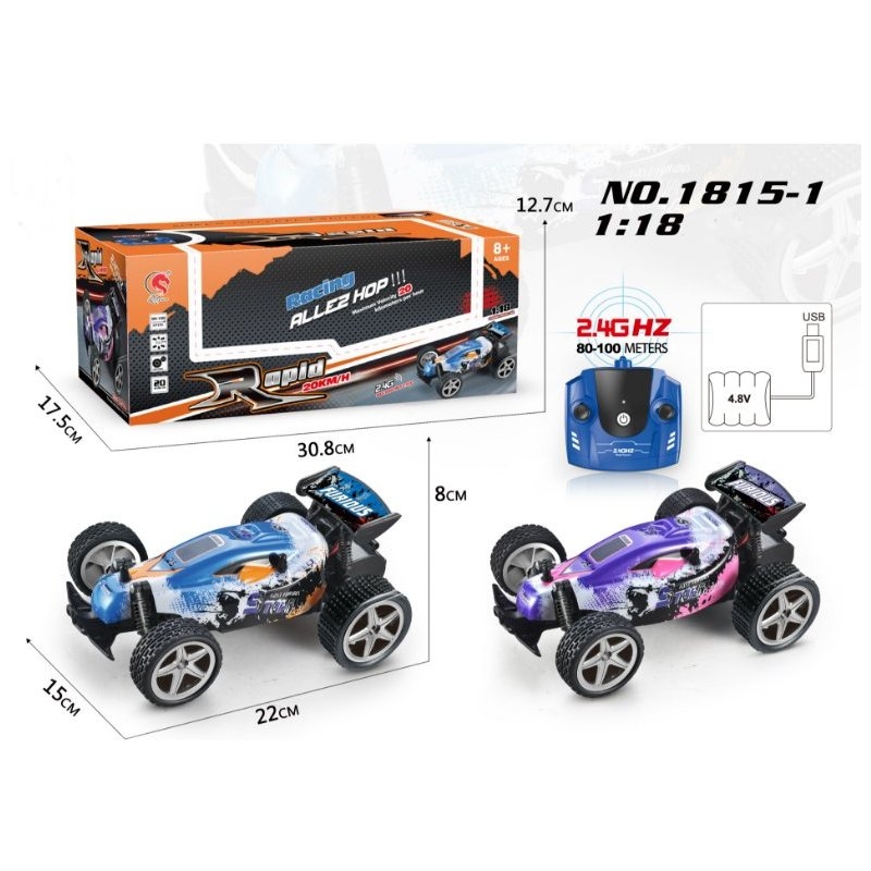 1:18 Formula Vehicle 2.4 GHz PVC Shell RC Car High Speed Racing