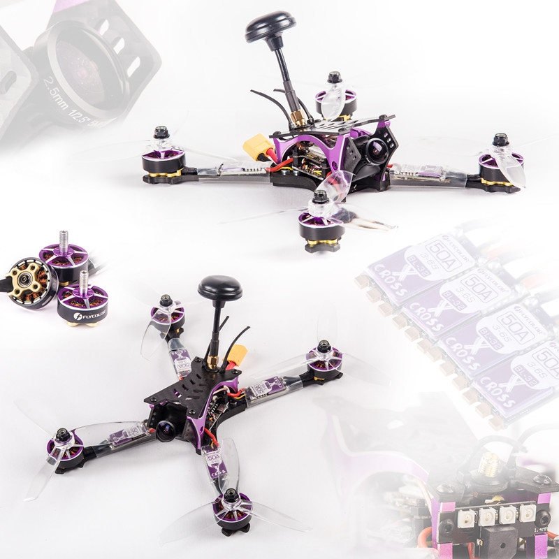 Everwing Beast X220 F4 OSD FPV Racing Drone PNP BNF w/ 50A BL_32 ESC 25/200/600mW VTX 600TVL Camera