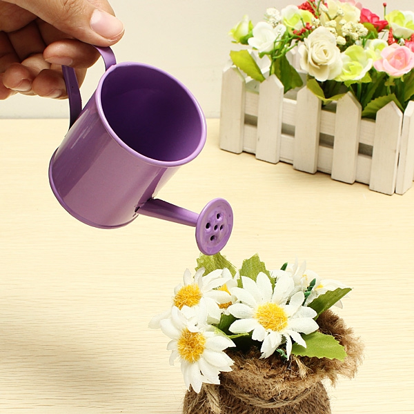 Mini Flower Tin Garden Bucket Tin box Photo Props
