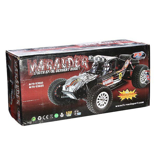 FS 53910 1/10 2.4G 4WD Brushed RC Desert Buggy